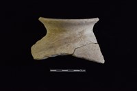 陶罐藏品圖，第1張